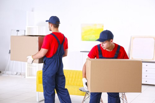 Ireland removals service terms introduction with moving boxes and agreement concept
