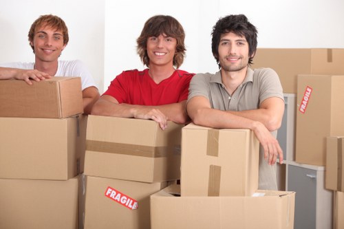 Van loading household boxes for a local move in Ireland